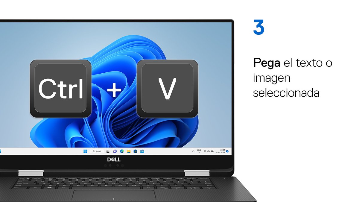 DellAyuda's tweet image. ✍️ #Windows tiene muchos atajos de #teclado integrados que hacen tu vida mucho más fácil.

Mira estas imágenes para aprender unos cuantos atajos importantes.  ⬇️

Encuentra más aquí: ➡️ del.ly/6015jUbHb ⬅️
#DellTips #WindowsTips