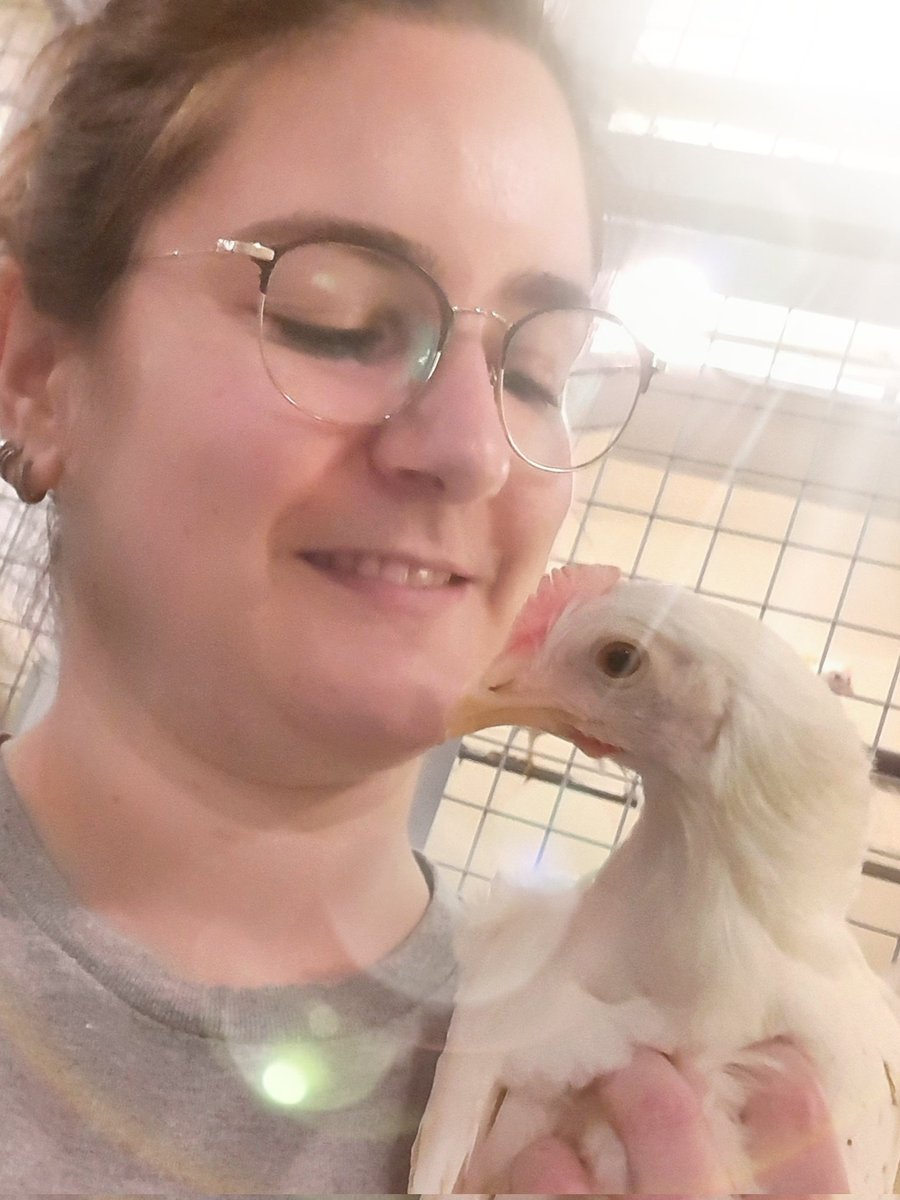 Ana Rentsch tweet media