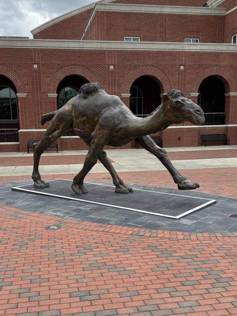 Jayden Colvin (@jaydencolvin) on Twitter photo After an amazing official visit to Campbell University, I am beyond blessed to have earned a D1 scholarship. #agtg
<a href="/CoachHornor/">Ross Hornor</a> <a href="/CoachRamirezOL/">Phill Ramirez</a> <a href="/55FatBoi/">Bernard</a> <a href="/CoachCDeen/">Cameron Deen</a> <a href="/OfficialBobbyP/">Bobby</a> <a href="/mtsacfootball/">Mt. SAC Football</a> After an amazing official visit to Campbell University, I am beyond blessed to have earned a D1 scholarship. #agtg
<a href="/CoachHornor/">Ross Hornor</a> <a href="/CoachRamirezOL/">Phill Ramirez</a> <a href="/55FatBoi/">Bernard</a> <a href="/CoachCDeen/">Cameron Deen</a> <a href="/OfficialBobbyP/">Bobby</a> <a href="/mtsacfootball/">Mt. SAC Football</a>