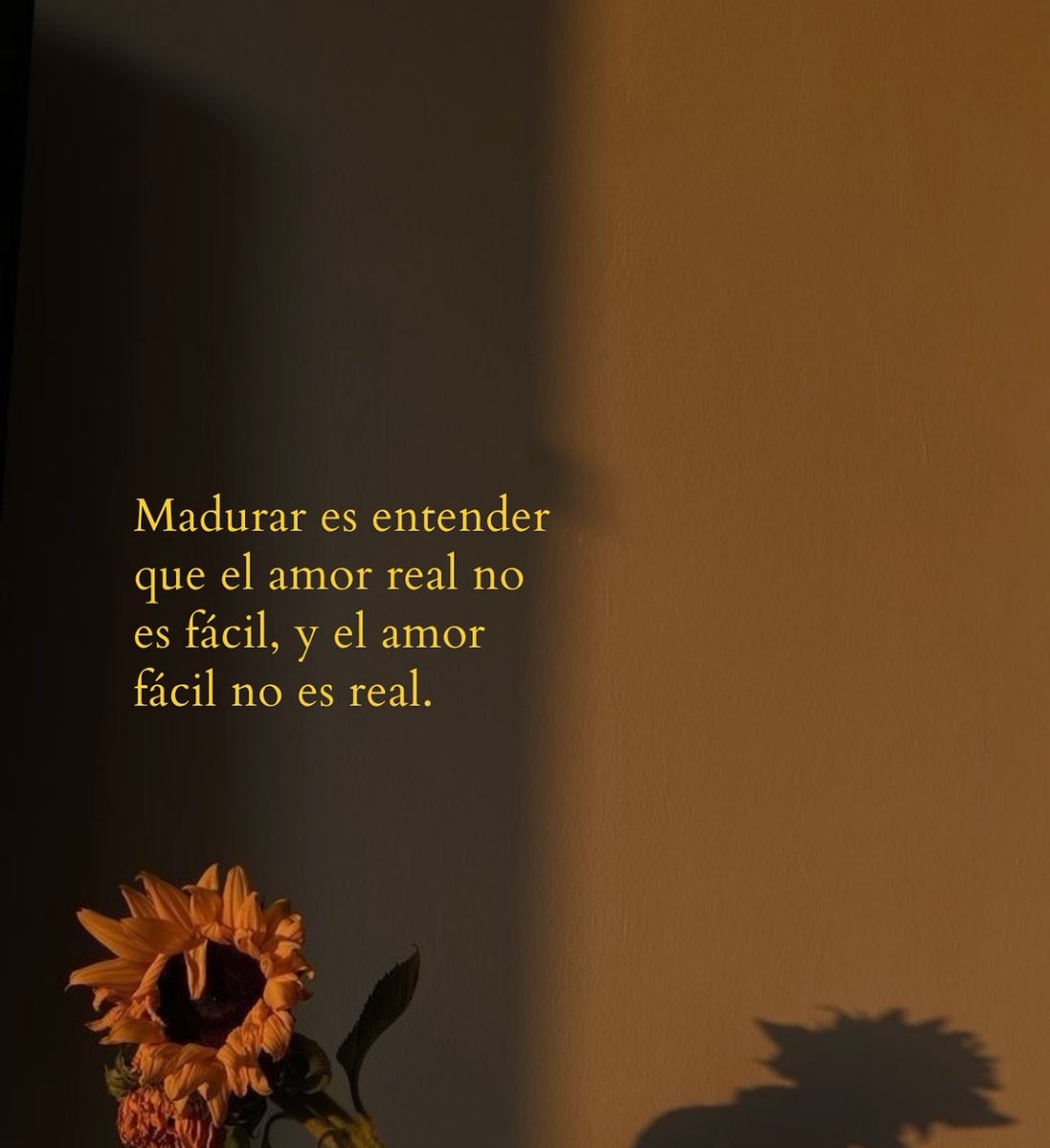 culturaliteral1's tweet image. 