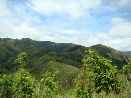 BioParques tweet media