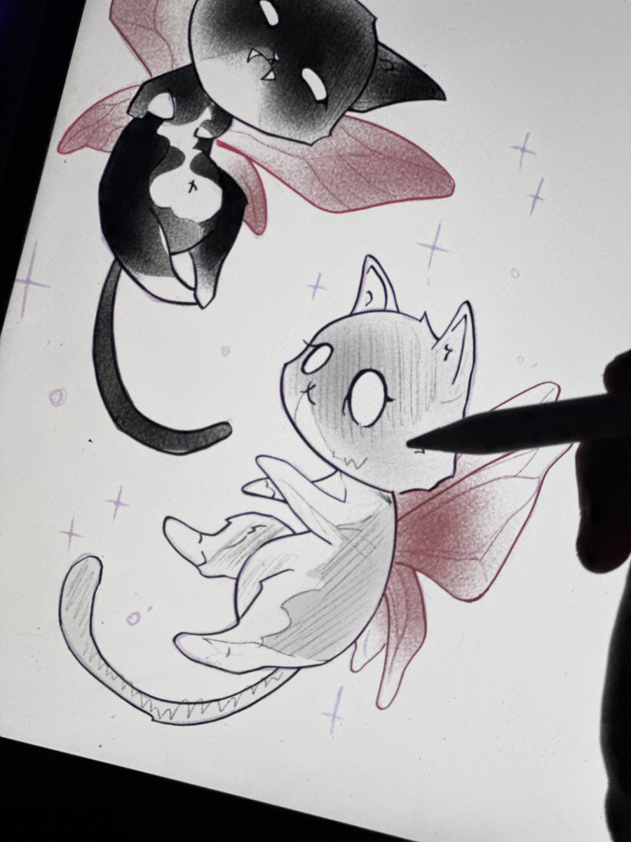 gn ✨🌙