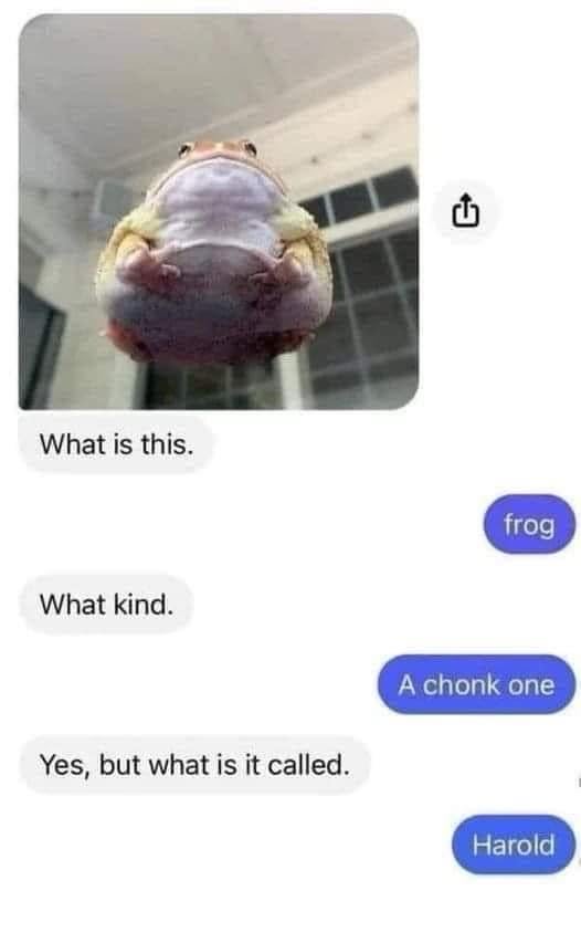 nocontextmemes's tweet photo. https://t.co/nDObbsccTS