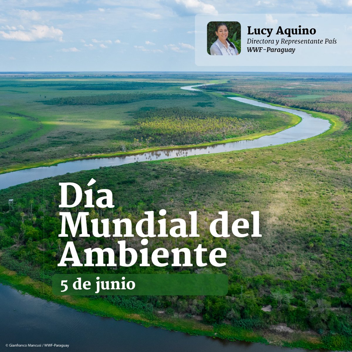 Hoy, 5 de junio, celebramos el Día del Ambiente. ¿Tenemos algo que celebrar? ¡Claro que sí! A pesar de los desafíos, aún tenemos áreas bellas, especies maravillosas y riquezas naturales que nos aseguran la vida. 🌍💚 #DíaDelAmbiente <a href="/KattyaGonzalez9/">Kattya Gonzalez</a> <a href="/mambiente_py/">Ministerio del Ambiente y Desarrollo Sostenible Py</a>