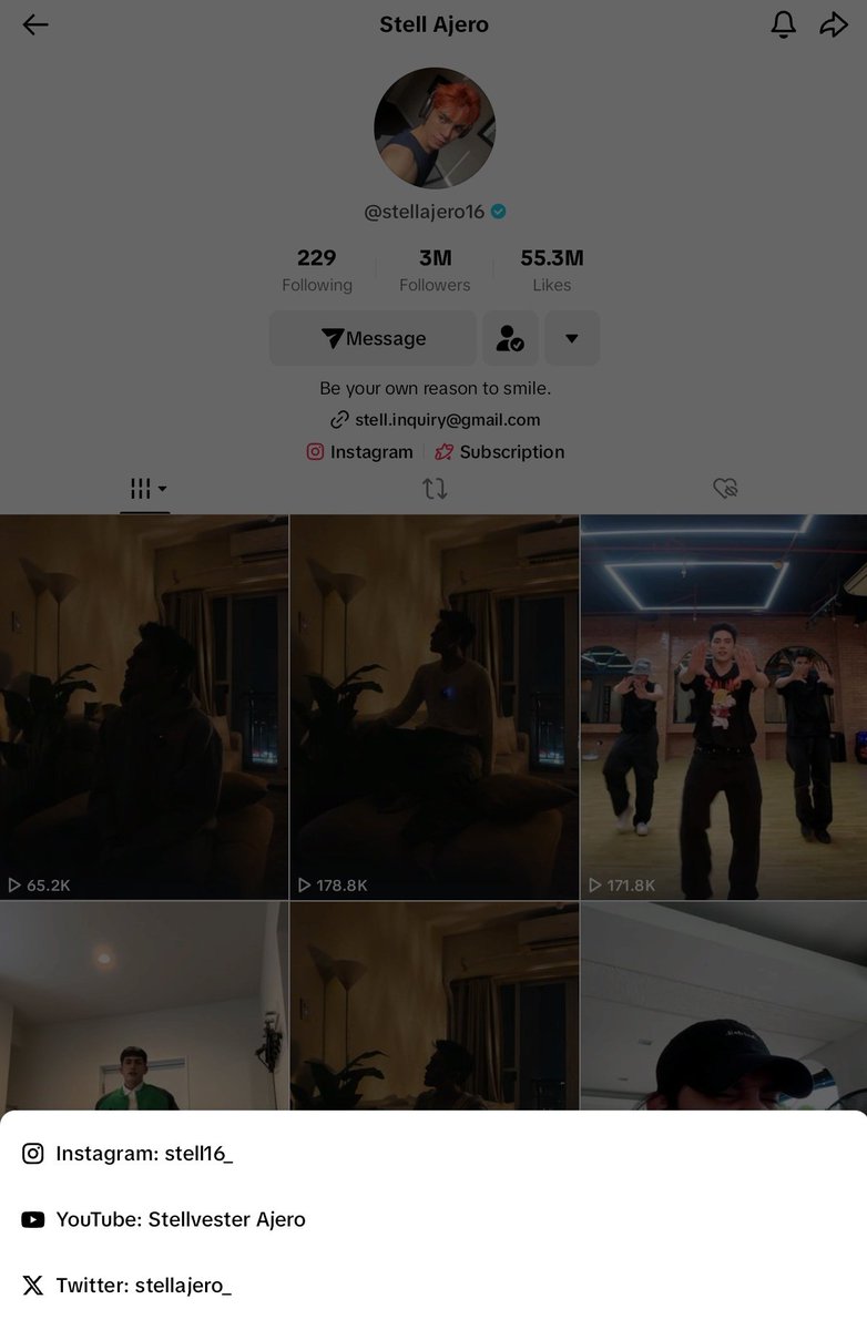 perhaps_stlvstr's tweet photo. Hi @stellajero_ idk if it's relevant but the YouTube account you linked on your Tiktok profile is different? Hopefully po maayos baka malito din yung iba pang di naka subscribe sa YT nyo po. 

@SB19Official #Stell https://t.co/c4cMvgchcD