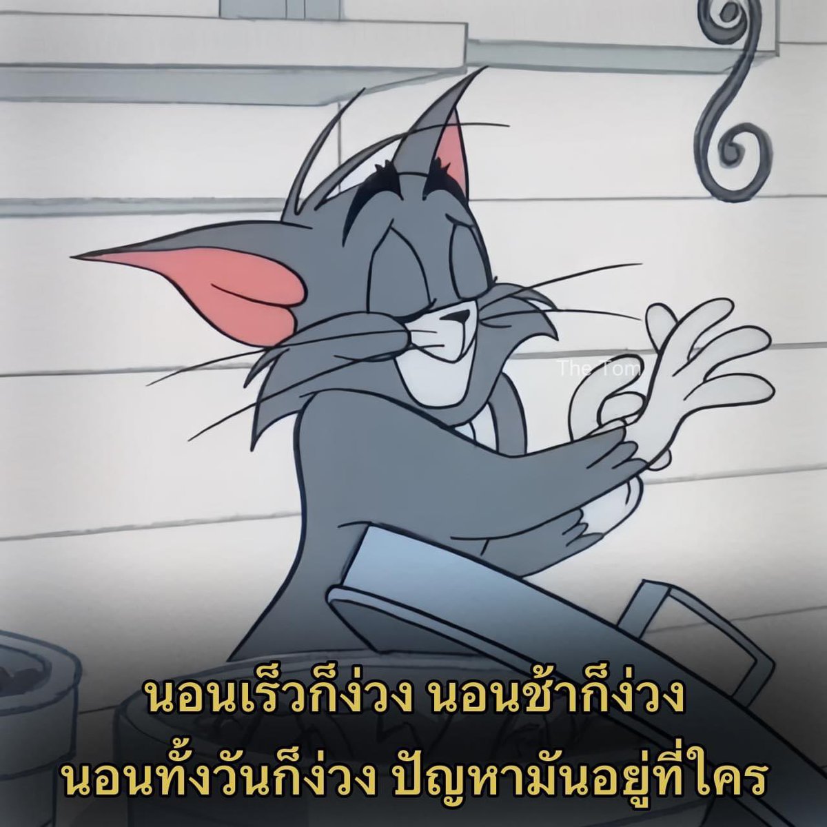 sutiฯ tweet media