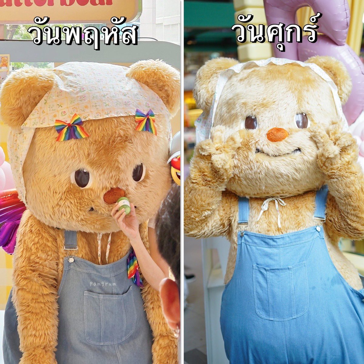 Butterbear.th tweet media