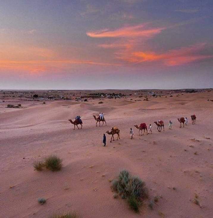 اُٺن مُٺن ڪاتيءَ ڪُٺن ، مون سان جيڏي ڪي جا  جتن ؛ 
ڳچيءَ ڊگها وڃن سِگها اُن جو کُر کڙڪو نه ڪن ؛ 
منزل مارڻ پوءَ نهارڻ اهو عيب اُٺن ؛ 
بوتا بلوچن ، ڌاڙي ڪارڻ ڌاريا .

ڀٽائي_