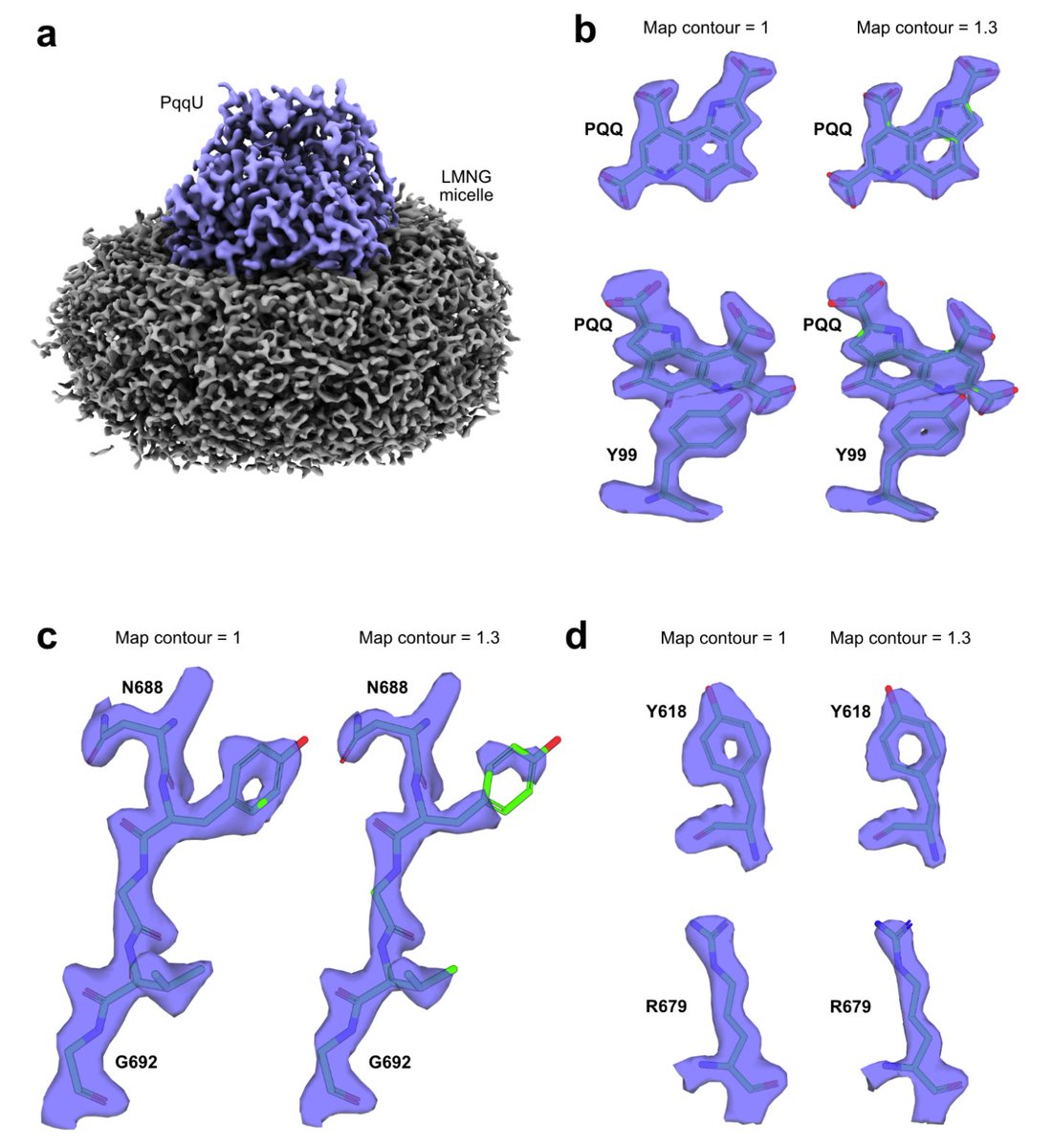 Hari Venugopal (@harivenugopal2) on Twitter photo Check out our latest work done <a href="/CryoEM_Monash/">Ramaciotti Centre for Cryo EM</a>. 75kDa membrane protein PqqU-PQQ complex at 2 Angstrom resolution. Data again from our G1 krios with K3 and BioQuantum filter. Check out our latest work done <a href="/CryoEM_Monash/">Ramaciotti Centre for Cryo EM</a>. 75kDa membrane protein PqqU-PQQ complex at 2 Angstrom resolution. Data again from our G1 krios with K3 and BioQuantum filter.