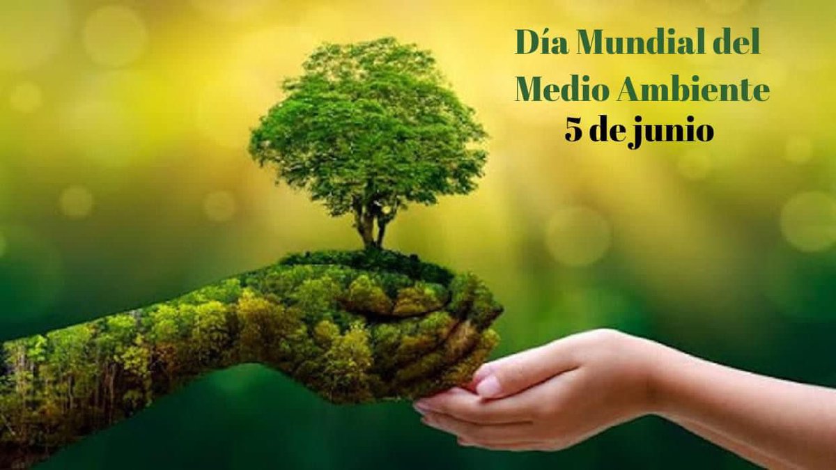 Tatiana Viera Hernández tweet media
