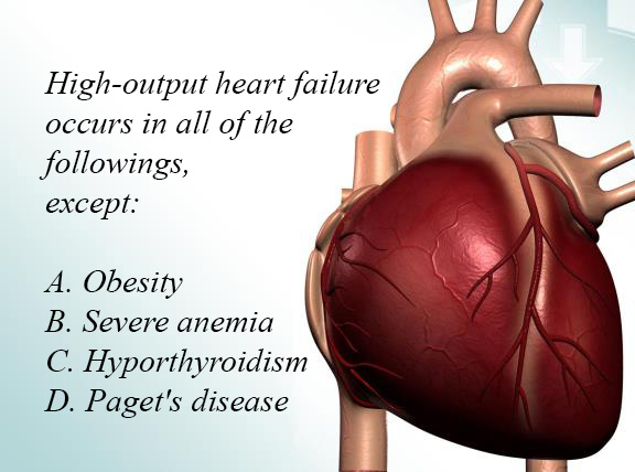 Zana Ahmed Nur, MD 🩺 (@drzanahmed) on Twitter photo 