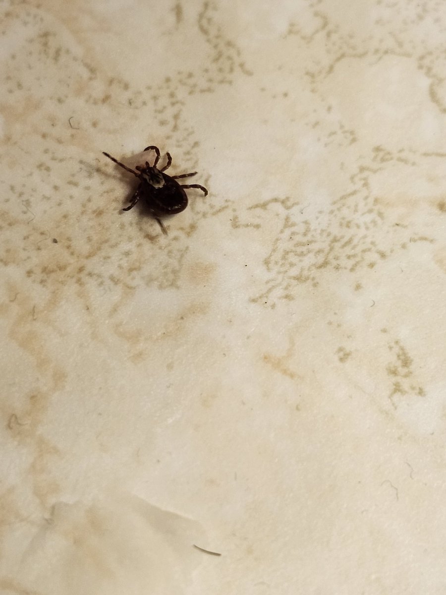 Aaron Hargreaves tweet media