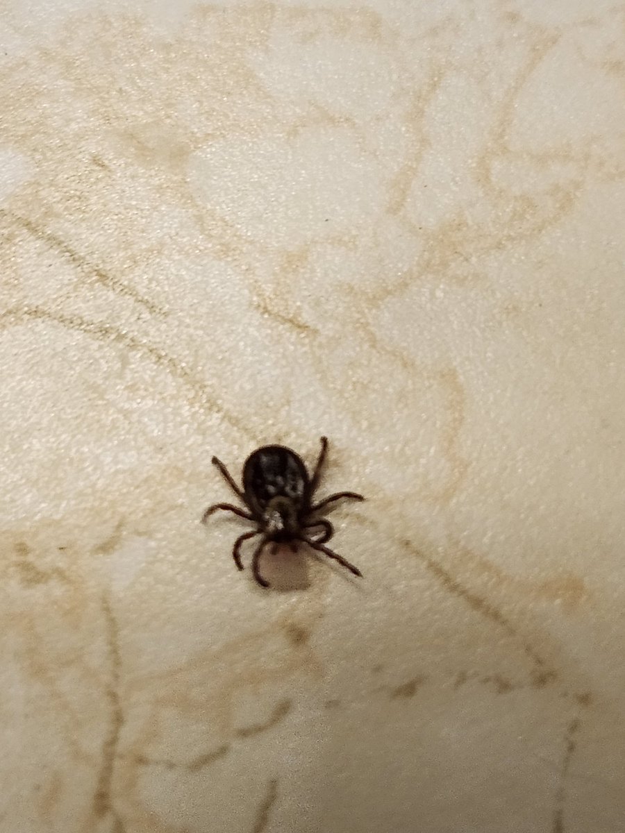 Aaron Hargreaves tweet media