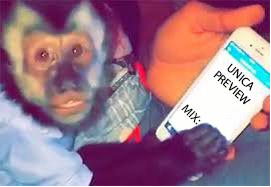 sugarboredape's tweet photo. He doesn't let me see the number 🙈🐒 https://t.co/JtEfGDqudV