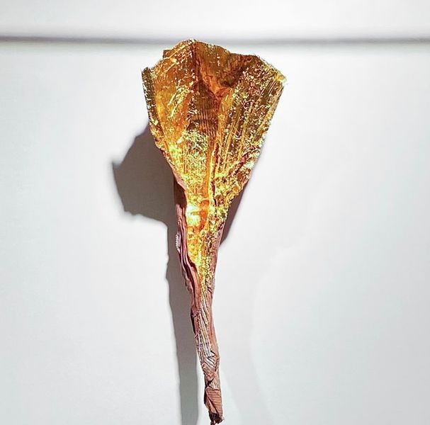 White Lab tweet media