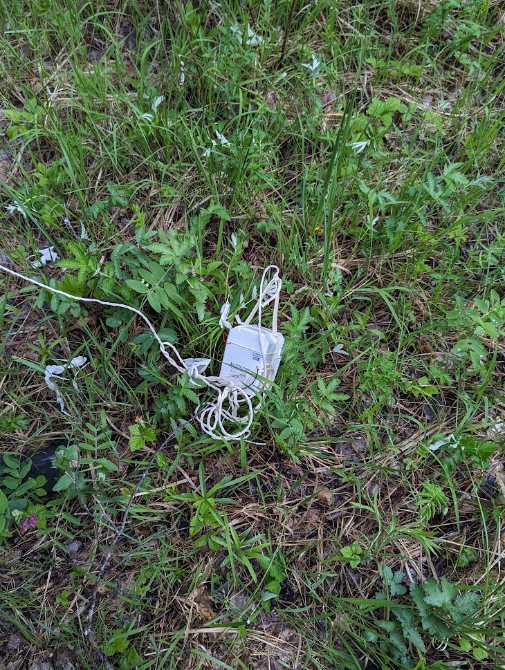 oh hey another one
sonde season is good this year