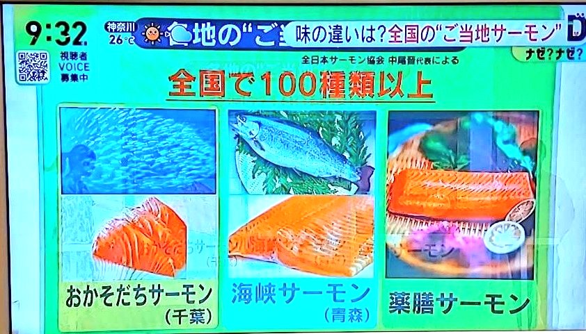 小瀧由貴 白老町観光大使🍣薬膳サーモン開発者🐟銀座 鮨千津井🍣寿司研究家・寿司職人 千津井由貴 tweet media