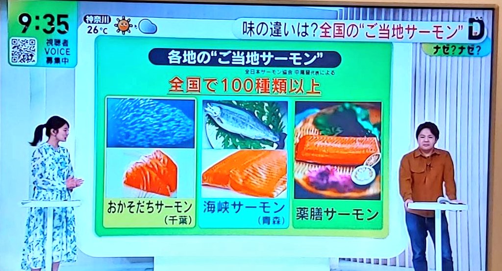 小瀧由貴 白老町観光大使🍣薬膳サーモン開発者🐟銀座 鮨千津井🍣寿司研究家・寿司職人 千津井由貴 tweet media