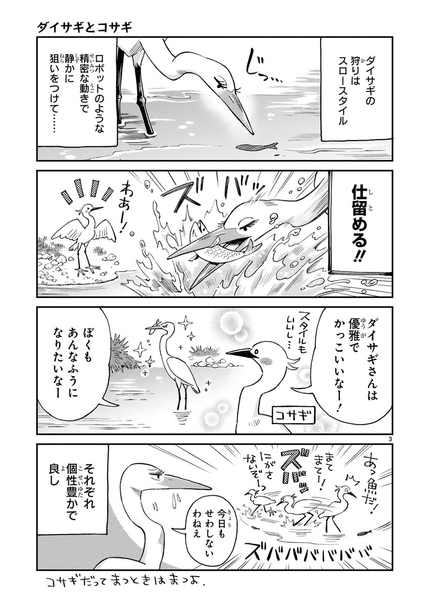 【6/6 更新】
🦢ゆるりと気軽な野鳥観察エッセイ!🦢
『まいにち鳥びより』
第6羽 水辺のまいにち
https://t.co/NCMpRIL3v8
水辺の野鳥はみんな個性豊か❣️👀
白鷺にも優美なダイサギ、小柄なコサギ、夏鳥のチュウサギなどなど…
え⁉シラサギってサギはいないの⁉️
#COMICポラリス