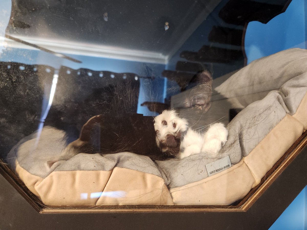 MissBilqis's tweet photo. Behold the beans https://t.co/UcaANyTKaI