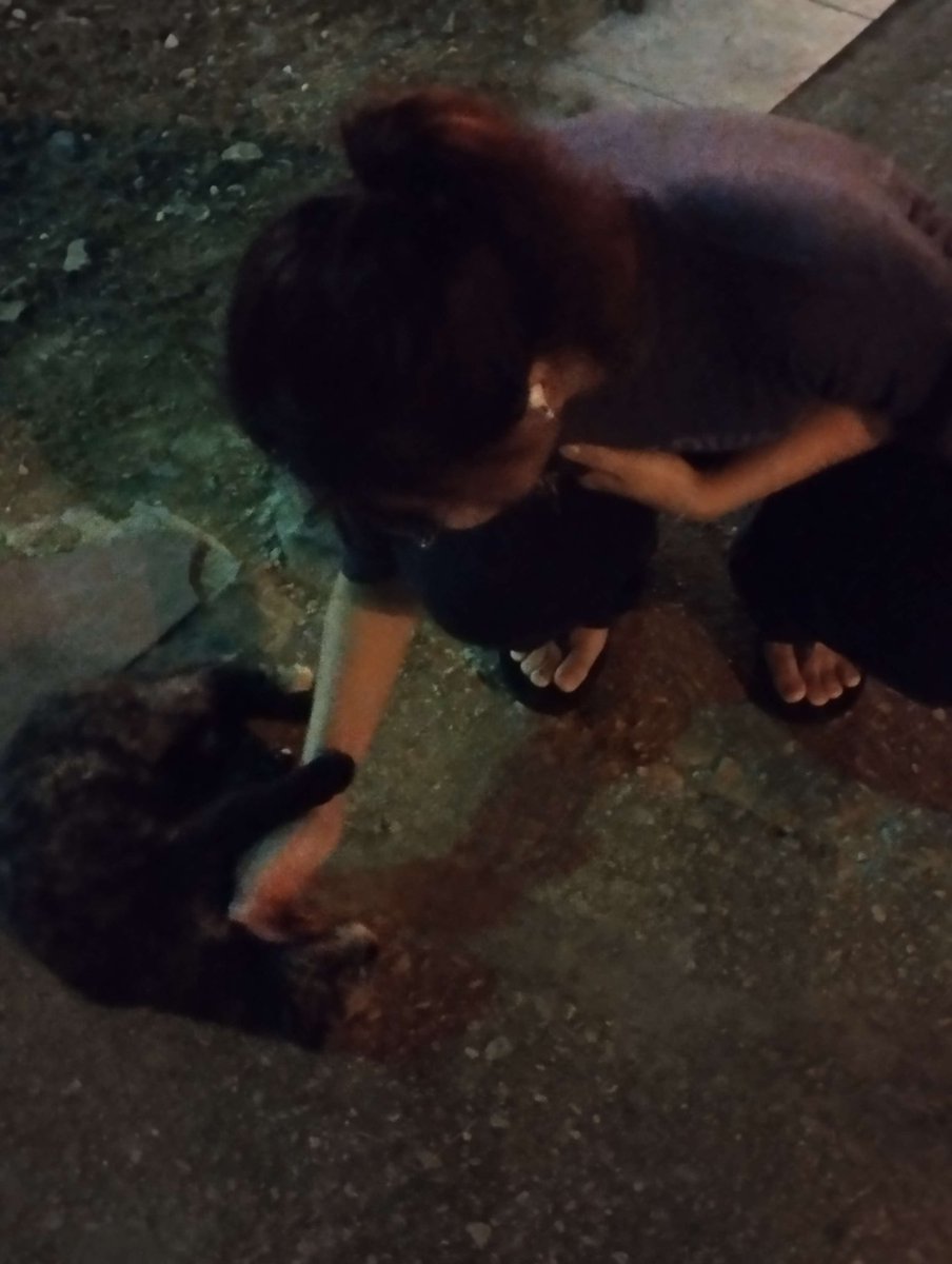 creepellalevon4's tweet photo. Every Tuesday is my favourite day 🥹🐱❤️ https://t.co/9Uper6O8wn