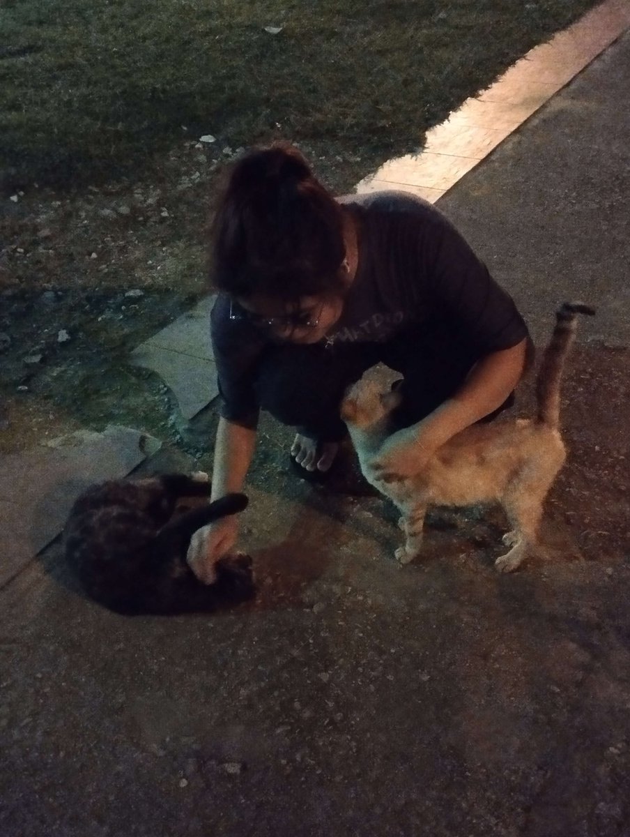 creepellalevon4's tweet photo. Every Tuesday is my favourite day 🥹🐱❤️ https://t.co/9Uper6O8wn