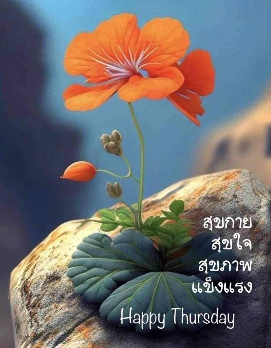 TharwonO's tweet photo. @thanwat1907ilma https://t.co/G1l0hBCrgs