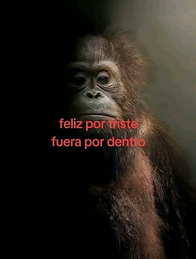 18NName18's tweet photo. @Grifvoid Y ahora por arrogante le van a bajar el ranked y se va con un permaban https://t.co/8g3TPX68B5