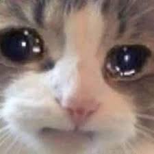 nikolitha1011's tweet photo. Necesito un psicólogo para poder superar la muerte de Don Armando 😭
#ComoLaVidaMisma https://t.co/3gufVTAfmH