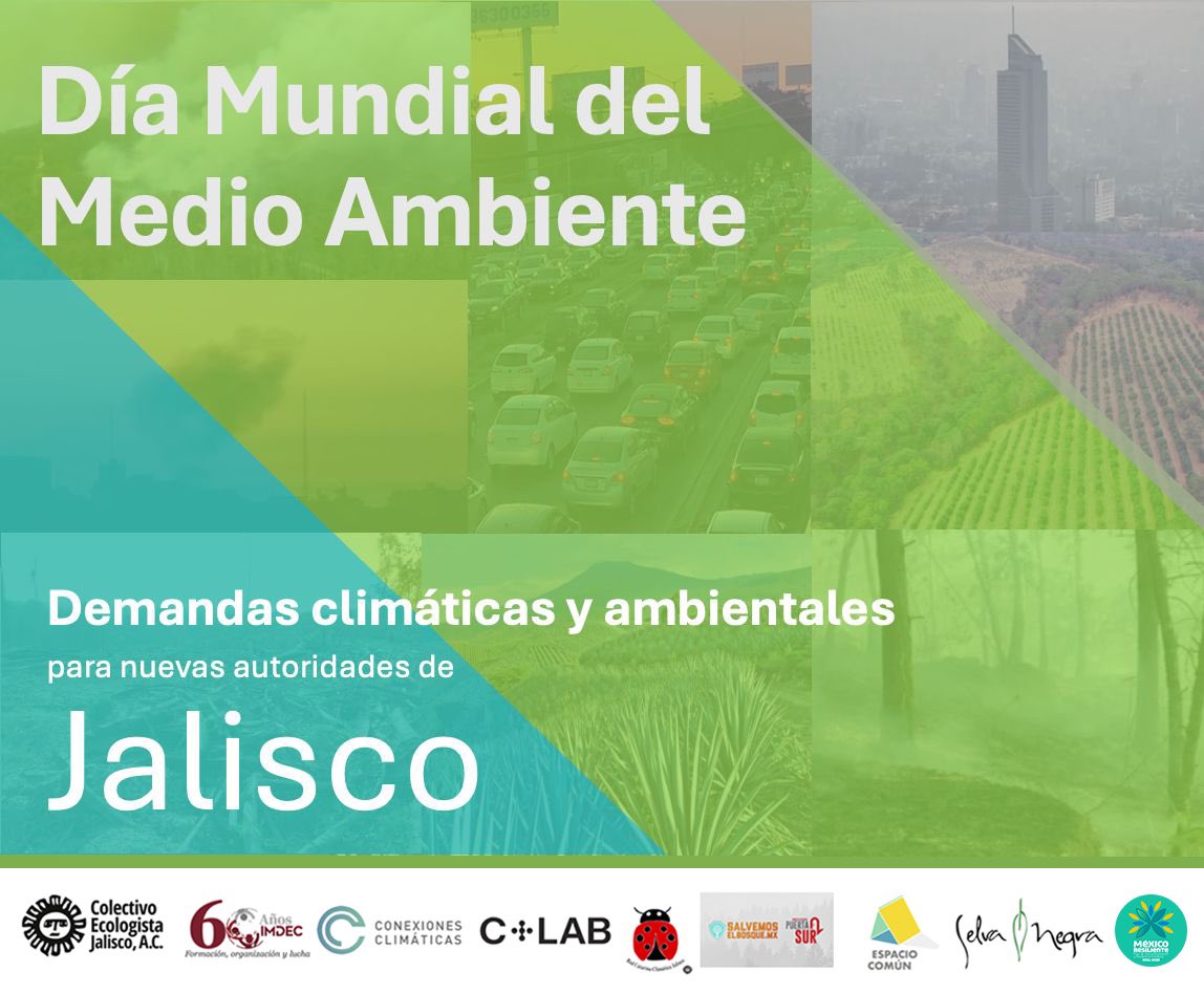 imdecac's tweet photo. 🌱#DíaMundialDelMedioAmbiente

🟢 Conoce las 25 demandas climáticas y ambientales que organizaciones sociales estamos exigiendo  y proponiendo a las nuevas auroridades electas de #Jalisco en todos sus niveles.

🔴 Es urgente reconocer el #ColapsoClimático y actuar urgentemente 🌎 https://t.co/L2AxYApFRh