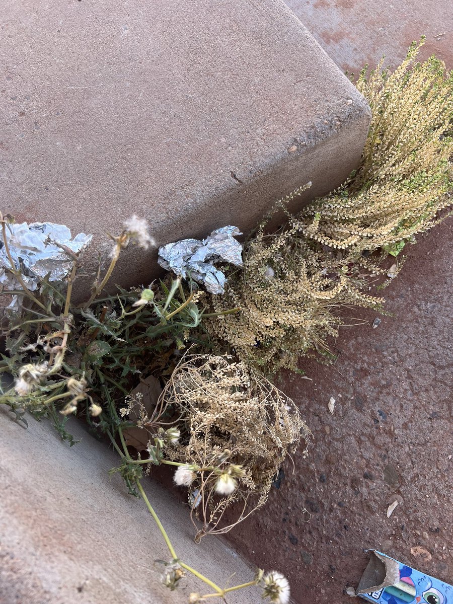 danigut1's tweet photo. @cabq @MayorKeller And so it’s June and girls softball has only been allowed to use Los Altos for High School metro!! But no problem putting them at the run down dirty drugs infested fields  of Bullhead!! Thank Mayor Keller for taking care of our youth!! https://t.co/Ry0NyMx1vH