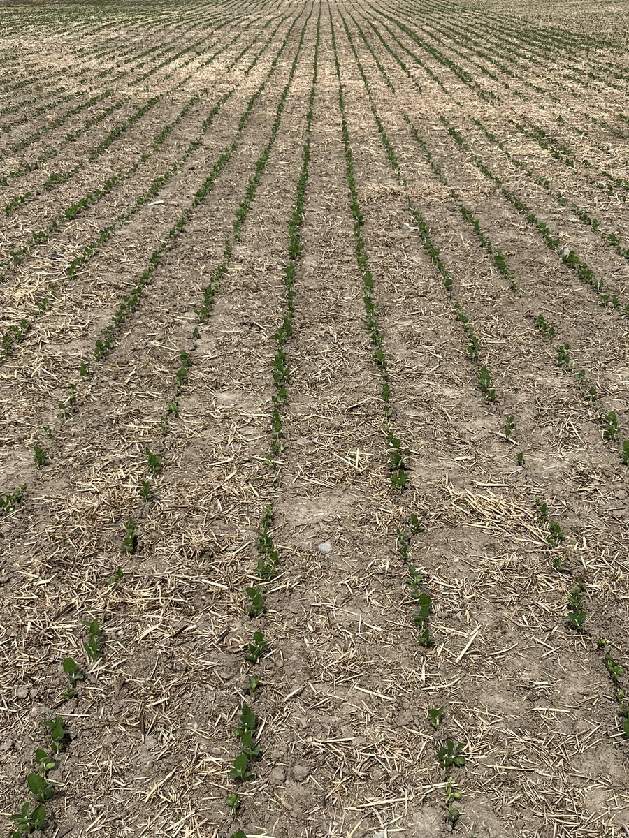 Quinte Isle Farms tweet media