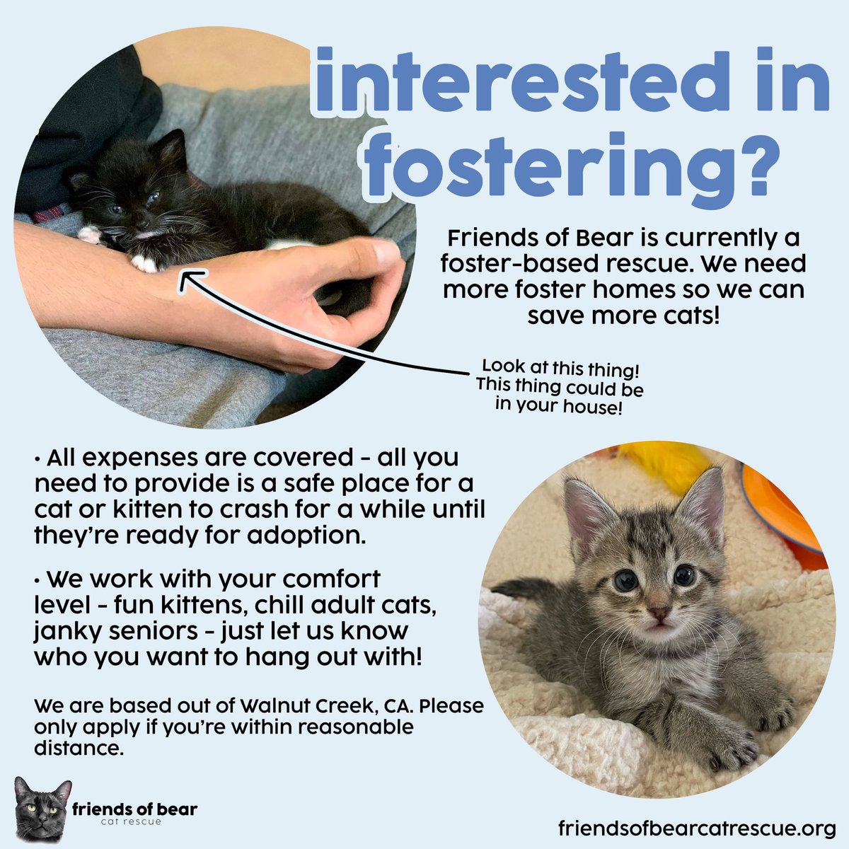 feederofcats's tweet photo. BAY AREA, CA

Friends of Bear Cat Rescue is still looking for fosters to join our mission of saving more cats!

Each foster home opens up the door for a little life to be changed forever.

Apply here: https://t.co/vBoYwwv5Fd https://t.co/s9s2eDbxUt