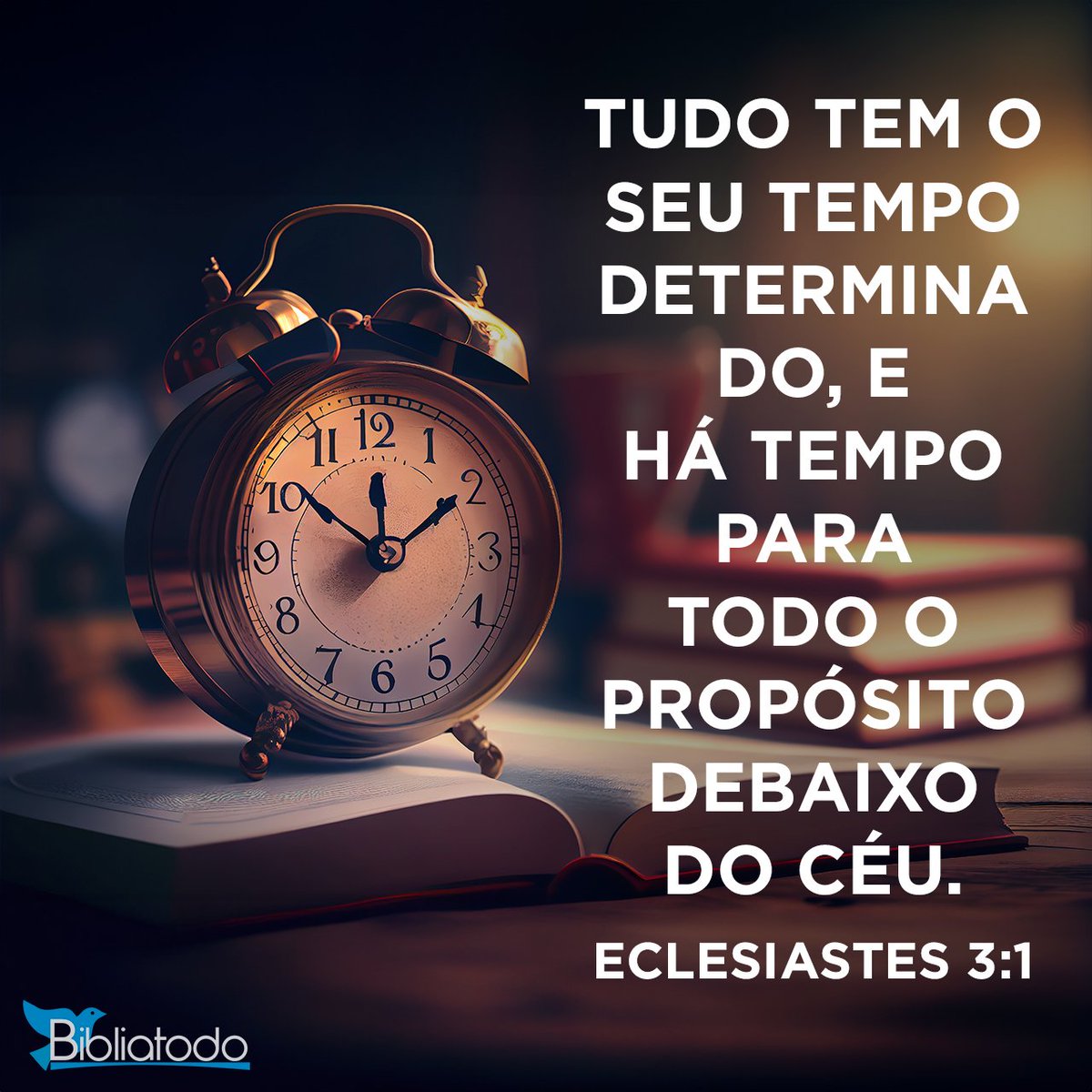 #QuintaPimentinhasSDV