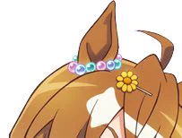これは声を大にして言いたいのですが、ジャングルポケットさんって自分の女としての魅力の引き出し方をしっかり理解してる超正統派美少女で………でなきゃ水着の時に着飾ったり毎朝髪編み込んでコテで整えたりその都度髪飾り変えたりしないんですよ……… 