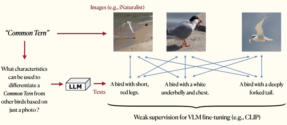 Oindrila Saha tweet media