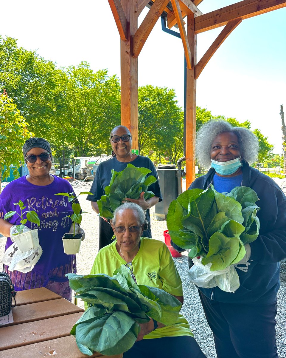 The Well at Oxon Run by DC Greens tweet media