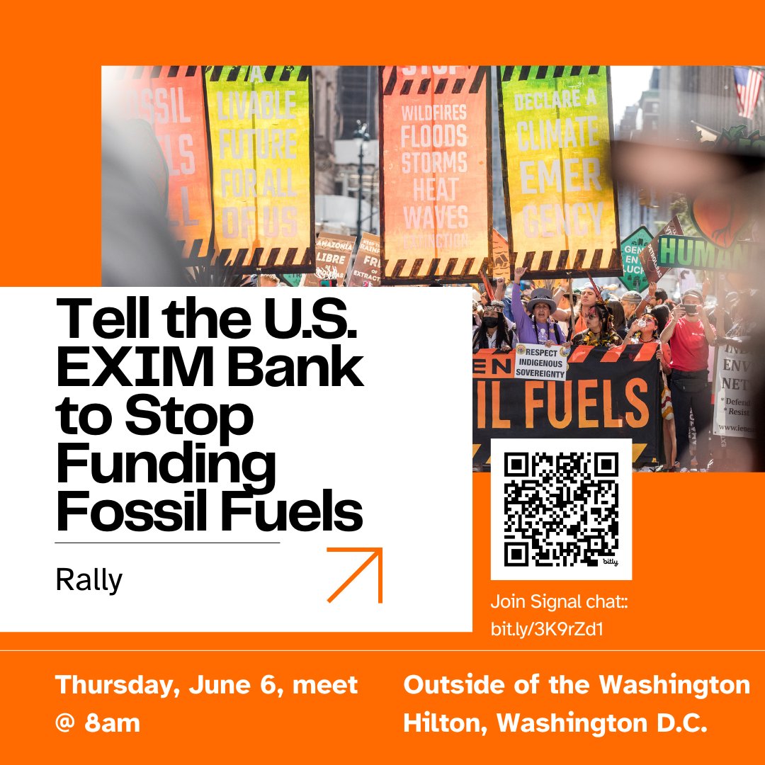 FridaysforFuture DC tweet media