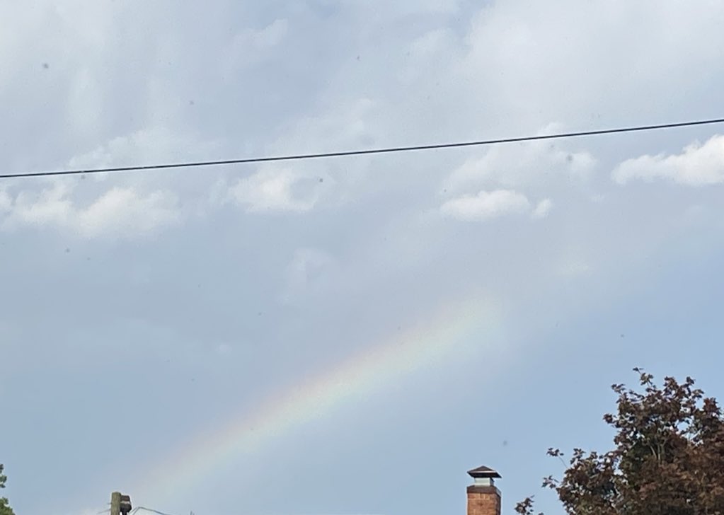 Emily Rose tweet media