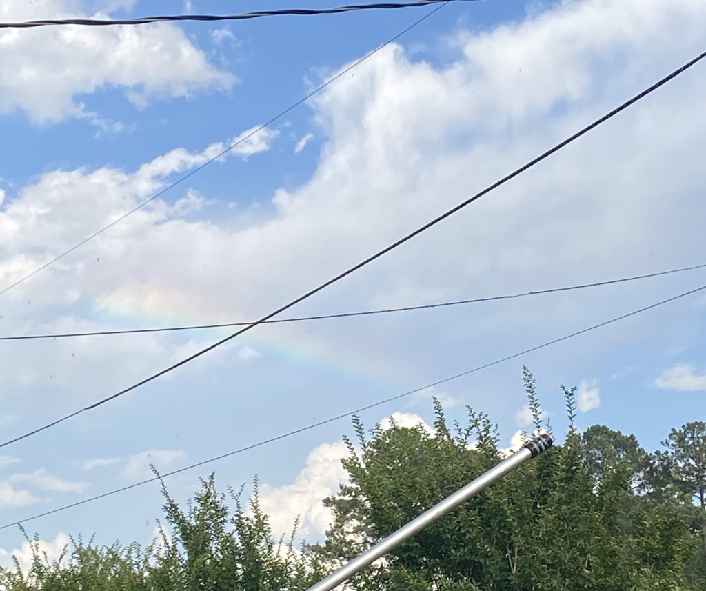 Emily Rose tweet media