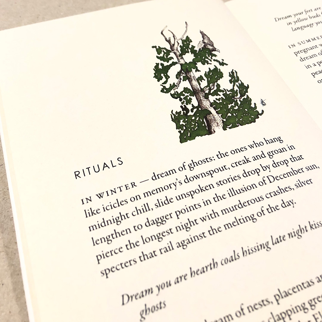 Whether you’re drawn to the beauty of poetry, the artistry of bookmaking, or simply looking for an afternoon of inspiration and reflection, we look forward to welcoming you to the launch of “Warp and  Weft” by Nanaimo poet, Carla Stein: eventbrite.ca/e/warp-and-wef…