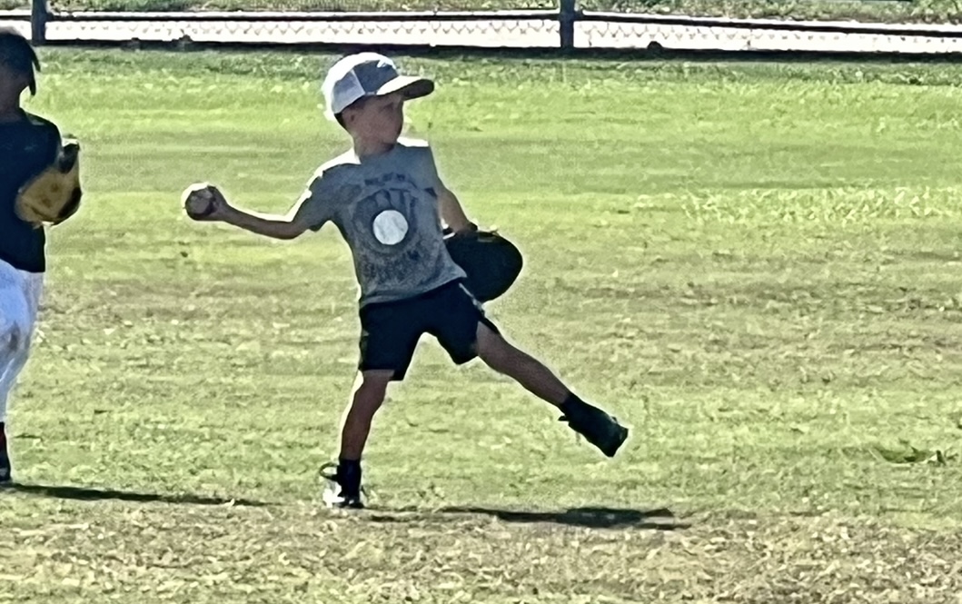 Nelson University Baseball tweet media