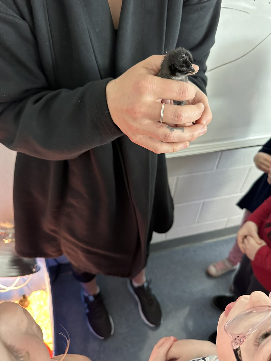 Jessica Grant tweet media