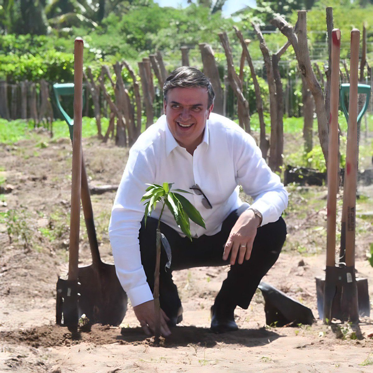 Marcelo Ebrard C. tweet media