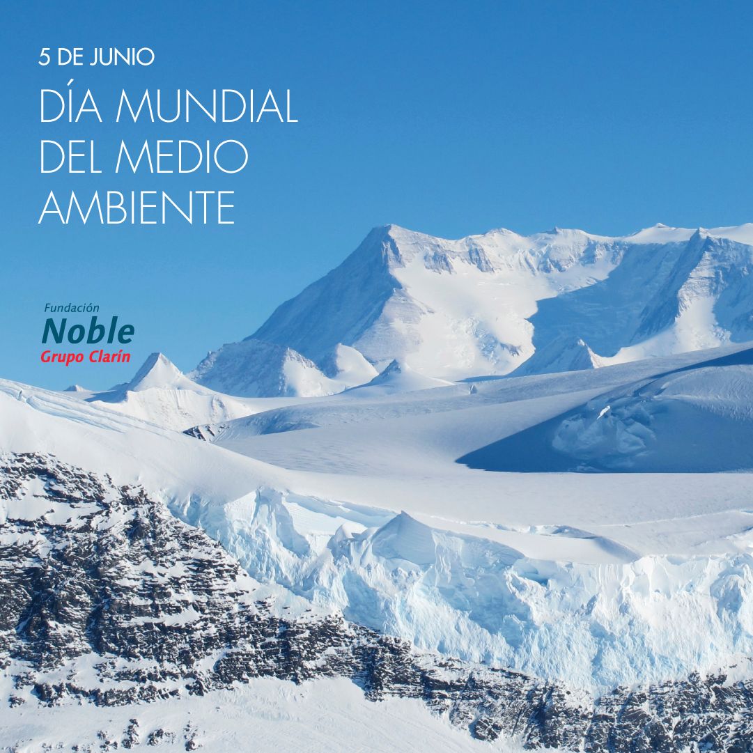 Hoy y todos los días es importante recordar cuidarlo 🙌