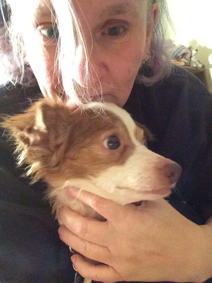 Hoomom got sum bad news as her cancer is detectable again. Not by much but she was happy last time that it wasn’t detectable for the 1st time in 4 years. She’s a bit down