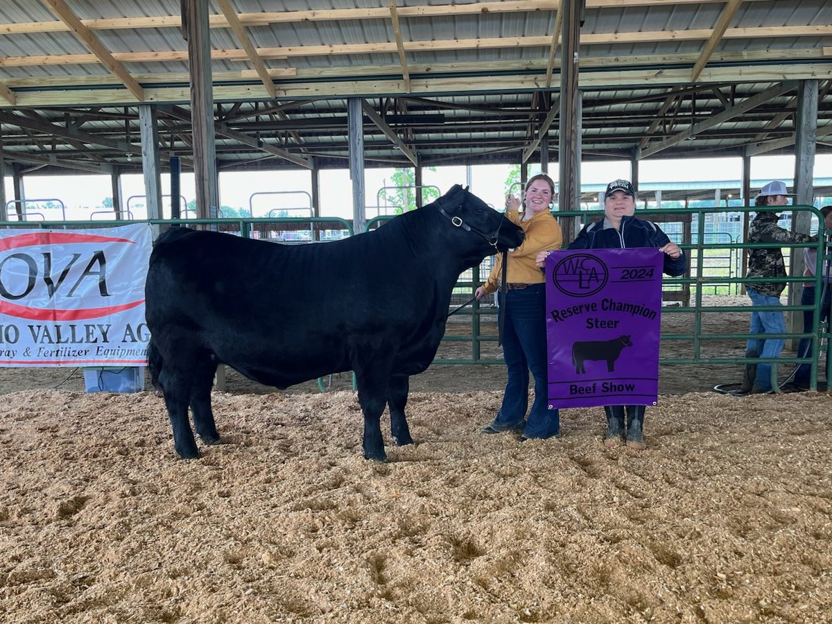 jdp678's tweet photo. Congratulations to Lucy Clark Res Grand at Wayne County livestock show.  Raised by us. https://t.co/vjywqa8lwM