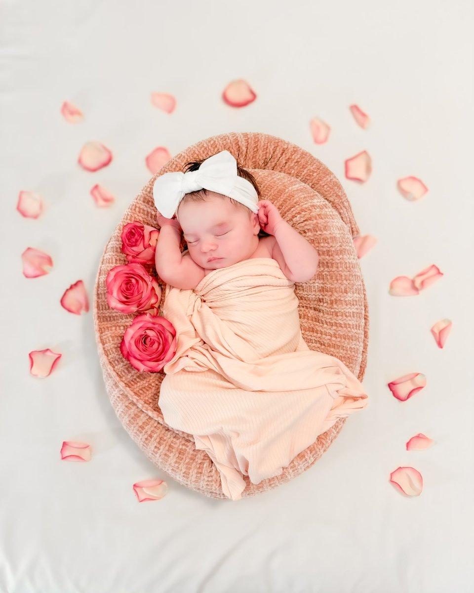 theoverturf's tweet photo. Hold me now,
Warm my heart
Stay with me
Let loving start …
#Obaby #txlege #EllieRose
📸: @theoverturf https://t.co/L1zUu9ASsA