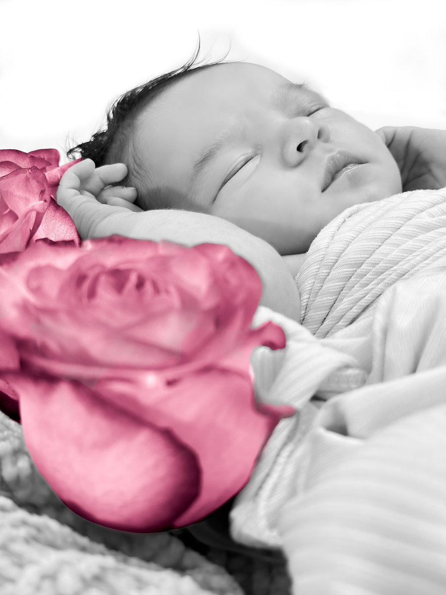 theoverturf's tweet photo. Hold me now,
Warm my heart
Stay with me
Let loving start …
#Obaby #txlege #EllieRose
📸: @theoverturf https://t.co/L1zUu9ASsA