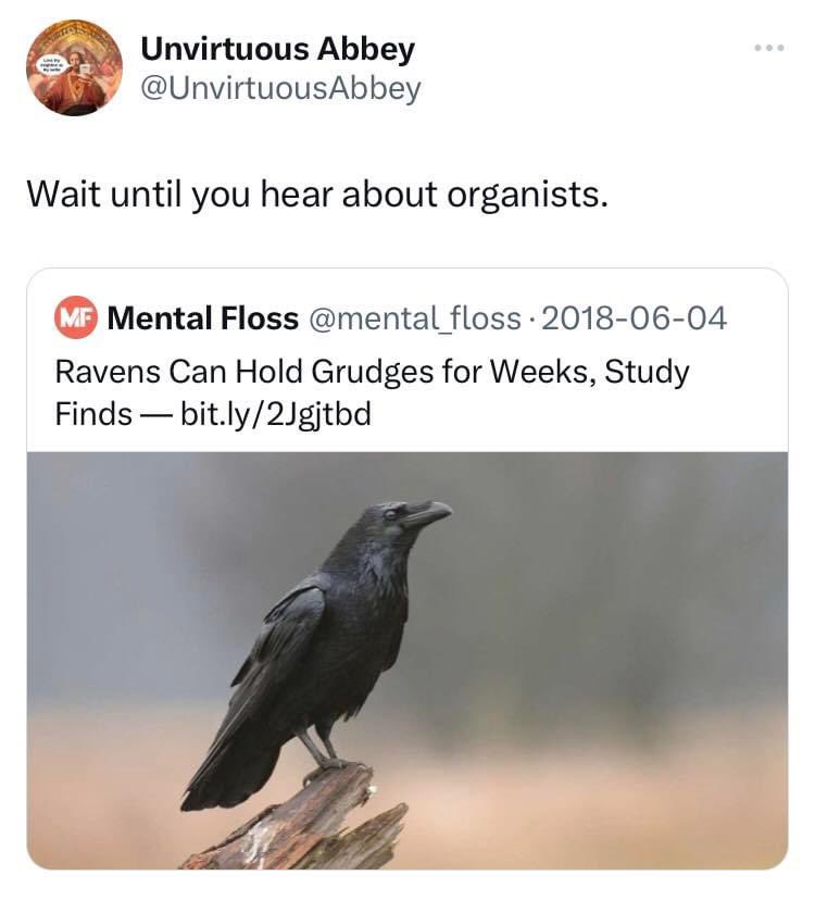 UnvirtuousAbbey's tweet image. 